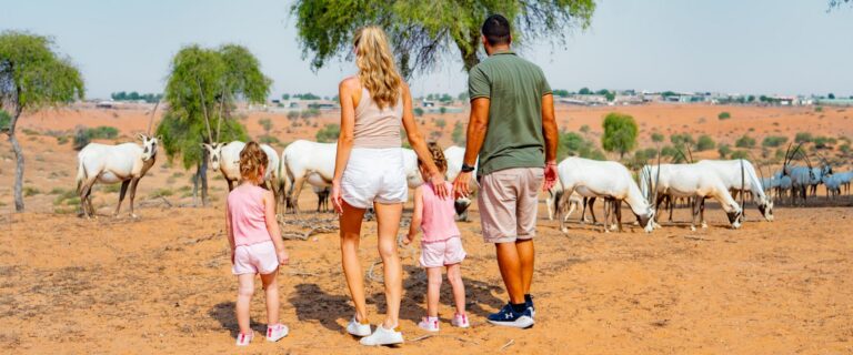 Family Adventure Package